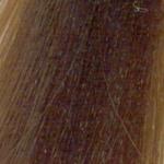 L'Oréal Professionnel Majirel 6 NATURAL