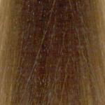 L'Oréal Professionnel Majirel 8.1 ASH BLONDE