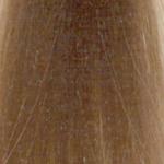 L'Oréal Professionnel Majirel 9.1 ASH