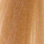 L'Oréal Professionnel Majirel High Lift 900S