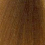 REDKEN  Shades EQ  06WG Mango Warm Gold 60ML