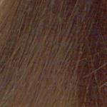 REDKEN Shades EQ  06T Iron Titanium 60ML