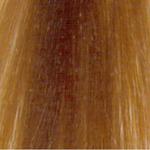 L'Oréal Professionnel Majirel 8.3 GOLDEN