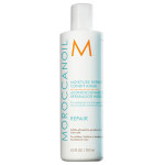 Moroccanoil Moisture Repair Conditioner