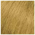 Matrix ColorInsider Yellow Booster