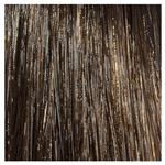 L'Oréal Professionnal Dialight 6