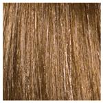 L'Oréal Professionnal Dialight 8