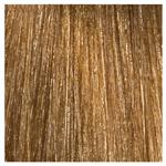 L'Oréal Professionnal Dialight 8.3