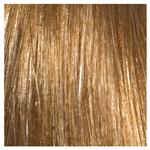 L'Oréal Professionnal Dialight 9.13