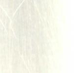 L'Oréal Professionnal Dialight Clear