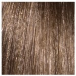 L'Oréal Professionnel INOA 8.1 Ash/Mat 60gr Tube