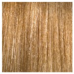 L'Oréal Professionnel INOA 9.3 Gold 60gr Tube