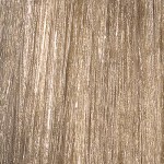 L'Oréal Professionnel INOA 10.1 Ash/Mat 60gr Tube