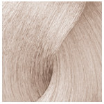 L'Oréal Professionnal Dialight 10.21