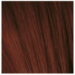 Schwarzkopf Professional Igora Color 10 Permanent Cream 4-88 Medium Brown Red Extra