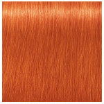 Schwarzkopf Professional Igora Royal Permanent Cream 0.77 Copper Concentrate