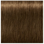 Schwarzkopf Professional Igora Royal Permanent Cream 6.4 Dark Blonde Beige