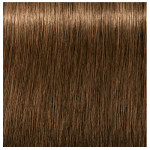 Schwarzkopf Professional Igora Royal Permanent Cream 6.5 Dark Blonde Gold