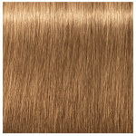 Schwarzkopf Professional Igora Royal Absolutes 8-50 Light Blonde Gold Natural