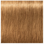Schwarzkopf Professional Igora Royal Permanent Cream 8.55 Light Blonde Gold Extra