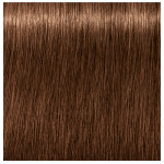 Schwarzkopf Professional Igora Royal Absolutes 6-60 Dark Blonde Auburn Natural