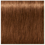 Schwarzkopf Professional Igora Royal Absolutes 7-60 Medium Blonde Auburn Natural