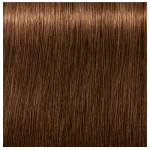 Schwarzkopf Professional Igora Royal Absolutes Age Blend 6-460 Dark Blonde Beige Chocolate
