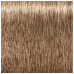 Schwarzkopf Professional Igora Royal Absolutes Age Blend 8-01 Light Blonde Natural Cendré