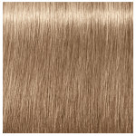 Schwarzkopf Professional Igora Royal Absolutes Age Blend 8-140 Light Blonde Cendré Beige