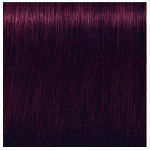 Schwarzkopf Professional Igora Royal Permanent Cream 4.99 Medium Brown Violet Extra