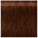 5-70 ABSOLUTES IGORA ROYAL SCHWARZKOPF