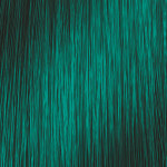 L'Oréal Professionnel #ColorfulHair Caribbean Blue