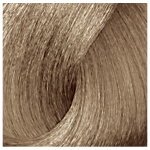 L'Oréal Professionnel Majirel 8.01