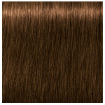 Schwarzkopf Professional Igora Royal Absolutes 6-50 Dark Blonde Gold Natural
