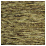 Redken Color Gels Lacquers 8GN Ivy 60ml