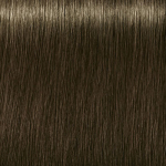 Igora Royal 6-31 Dark Blonde Cendre