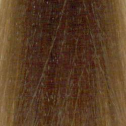 L'Oréal Professional Majirel 8.1 ASH BLONDE