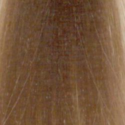 L'Oréal Professional Majirel 9.1 ASH