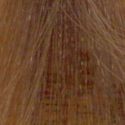 REDKEN Shades EQ  06GB Toffee Gold/Beige  60ML