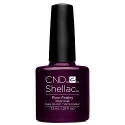 PLUM PAISLEY SHELLAC UV COLOR COAT CND