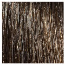 L'Oréal Professionnal Dialight 6