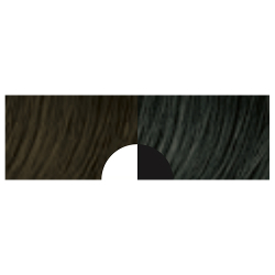 Aveda Full Spectrum Deep Darkest Brown 2N