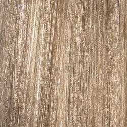 L'Oréal Professionnel INOA 10.1 Ash/Mat 60gr Tube