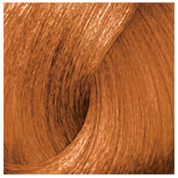 7.40 DIALIGHT LOREAL PROFESSIONNEL