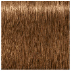 7-450 ABSOLUTES AGE BLEND IGORA ROYAL