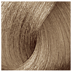 L'Oréal Professionnel Majirel 8.01