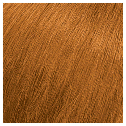 Matrix SoColor Sync 6CG Copper Gold Pre-Bonded