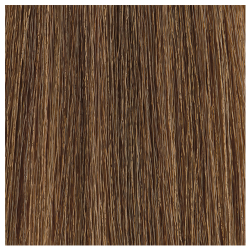 Moroccanoil Color Calypso 6G Dark Gold Blonde Demi-Permanent Gloss Color