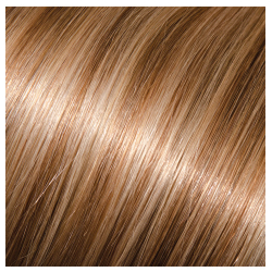 Babe Machine Tied Weft Extension 22.5in Straight #12/600 Caroline