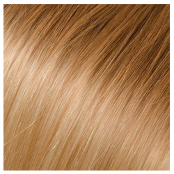 Babe Hand Tied Weft Extension 22.5in Straight Ombre #1B/60 Stevie